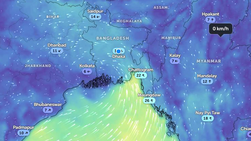 নতুন ভাইরাস ‘এইচএমপিভি’ ছড়ায় কীভাবে, লক্ষণ প্রতিরোধ ও প্রতিকার